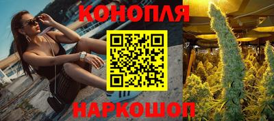 apvp Камышлов