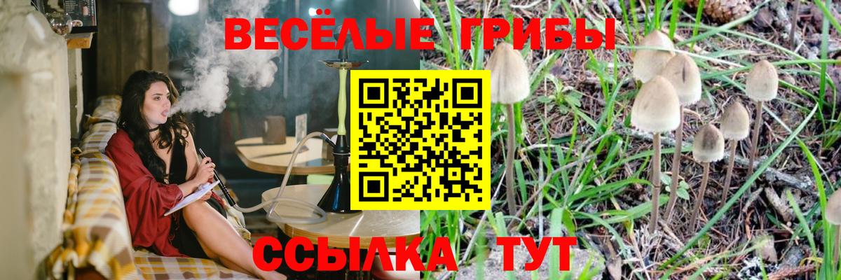 Жигулёвск  Галлюциногенные грибы MAGIC MUSHROOMS  Вход с VPN 